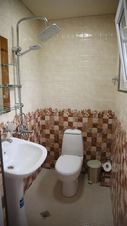 Zelenyi Mys Hotel Batumi 0*,  Georgia